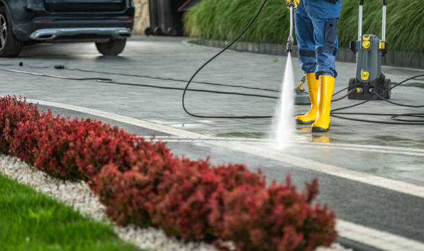Trusted Hamilton, AL Pressure Washing Services Experts